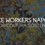 TREE WORKERS NAPOLI